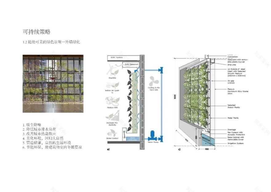 三个医院和一个“大”的梦想丨中国东营-91