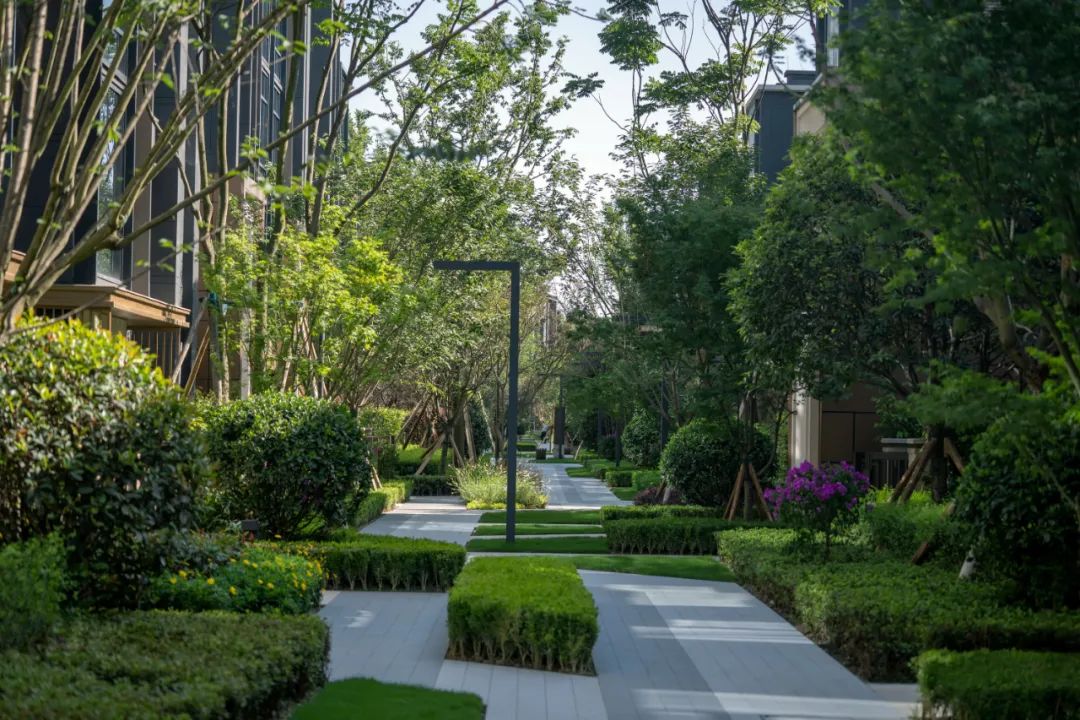 龙湖·双珑原著 3#块 | 自然艺术与现实生活的极致融合-140