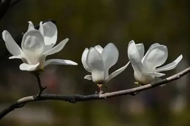 佛山城市人文美学体验馆丨中国佛山丨YOA 有岸设计-11