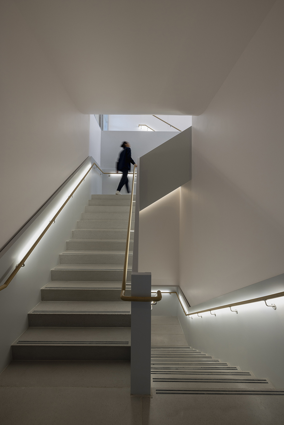 康奈尔科技校区酒店和教育中心丨洪都拉斯约罗丨Snøhetta-36