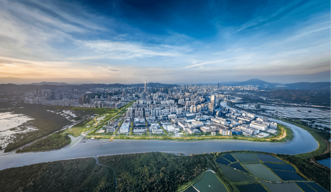 深圳福田侨香路景观提升丨中国深圳丨深圳文科园林股份有限公司-9