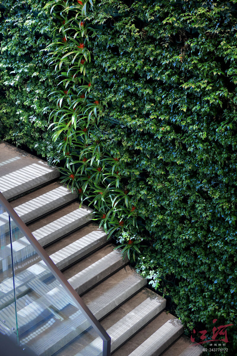 办公室空间摄影|深圳空间摄影|金活医药集团|办公室拍照-8