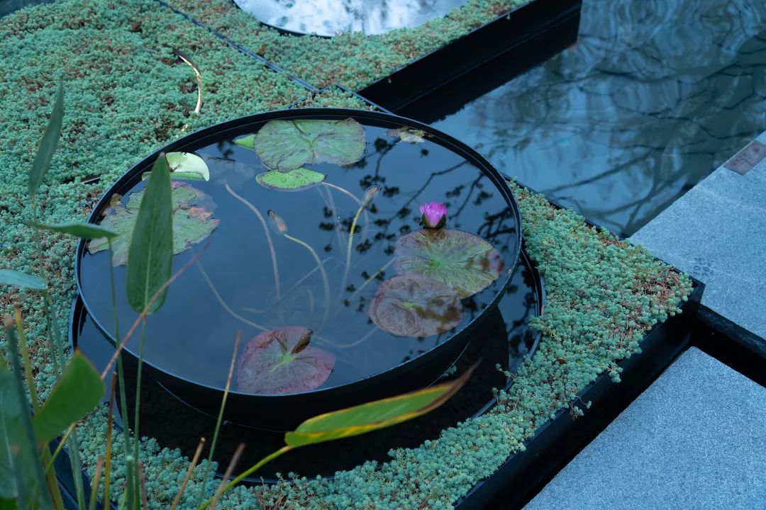 上海浦发仁恒·有园丨中国上海丨上海澜道环境设计咨询有限公司-82