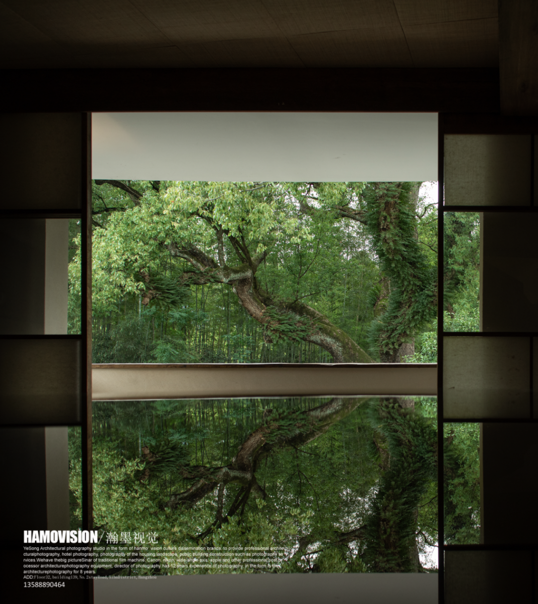 千年樟树下的茶室 · 沈墨设计的古堰画乡茶空间丨中国丽水丨杭州时上建筑空间设计事务所-64