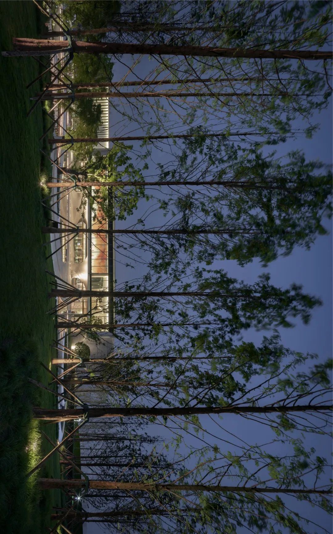 金科·南山 | 城市山林中的宁静雅居-11