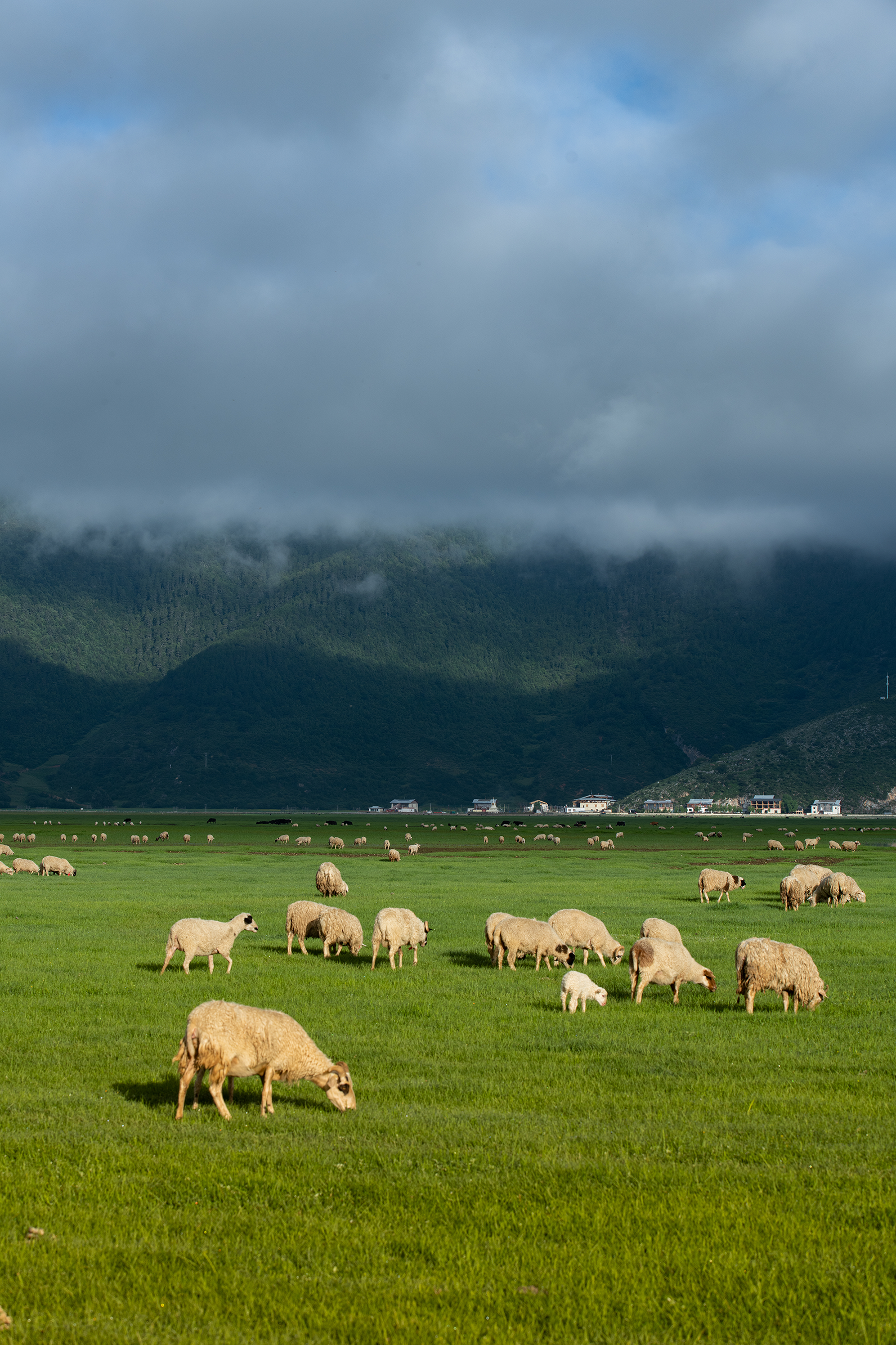 锦瑟·在野院丨中国云南丨岭众联合-0