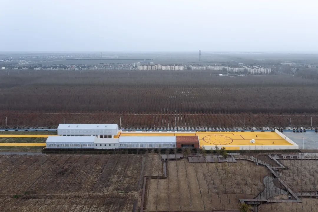 黄金晒谷场 · 俞挺打造凡人安乐乡的农耕记忆丨中国上海丨Wutopia Lab（建筑,景观）-46