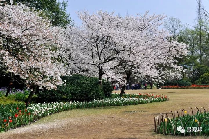 吉祥庭院 | 汇聚 30 种美景的绿色空间-77