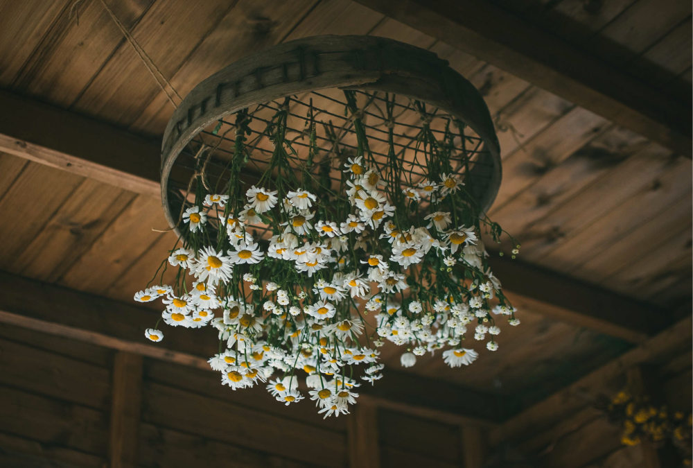 创意花艺 Instagram 账号盘点-2