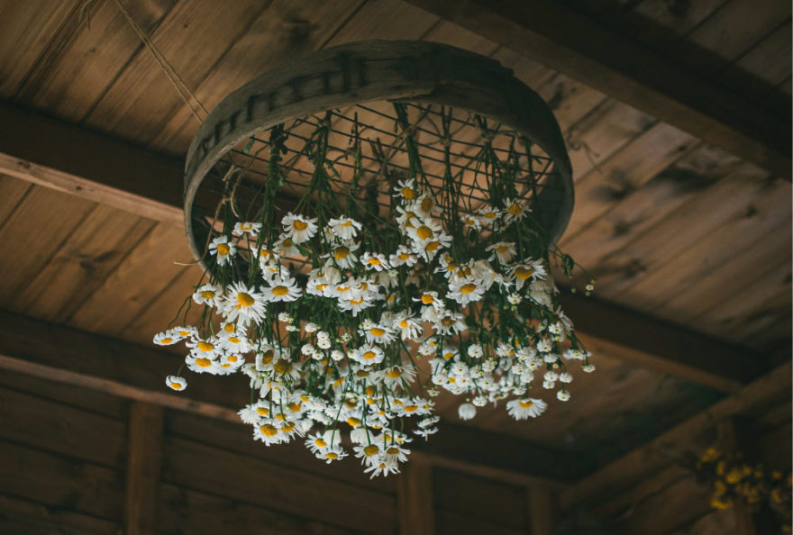 创意花艺 Instagram 账号盘点-2