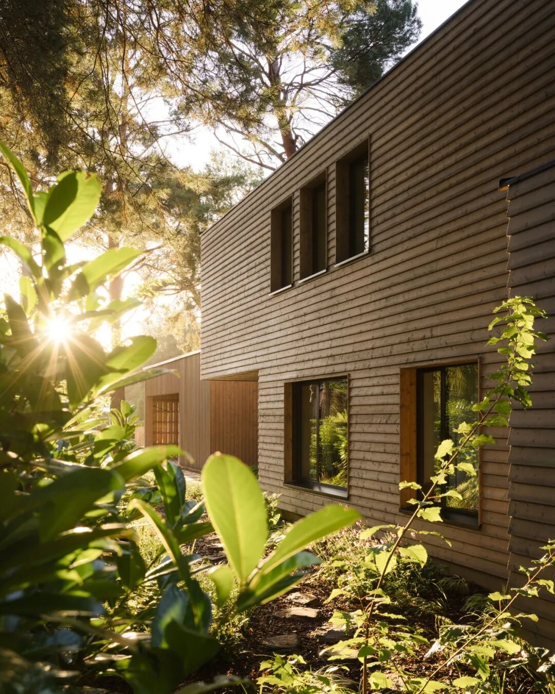 卡萨拉斯玛格丽塔斯公寓（Casa常见指房子、公寓等，由于缺乏更多背景信息，一般以公寓来常见处理，但根据具体场景这里也可能表示其他场所；Las Margaritas音译过来是拉斯玛格丽塔斯 ，它可能是具体的人名、地名等，可根据实际情况进一步确认指代对象及更合适的译法，如果是酒店、度假村等也可纠正信息重新让我翻译 ）丨哥伦比亚丨Trópico Arquitectura-35