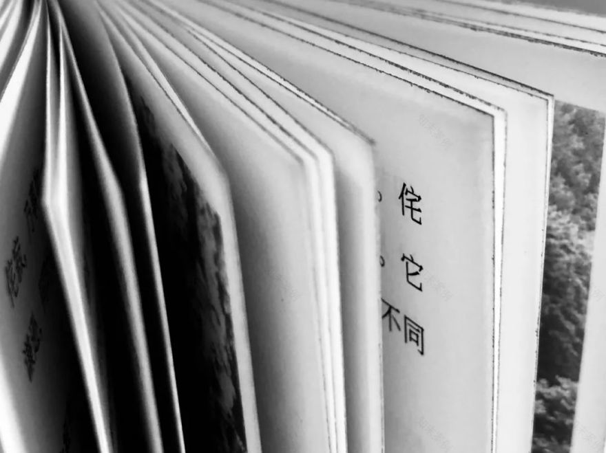 《侘寂》 | 日本美学的神秘魅力-38