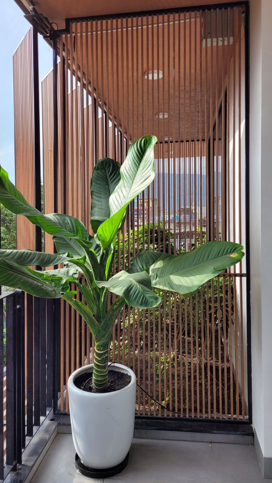 现代热带别墅设计,打造宜居生活空间-43