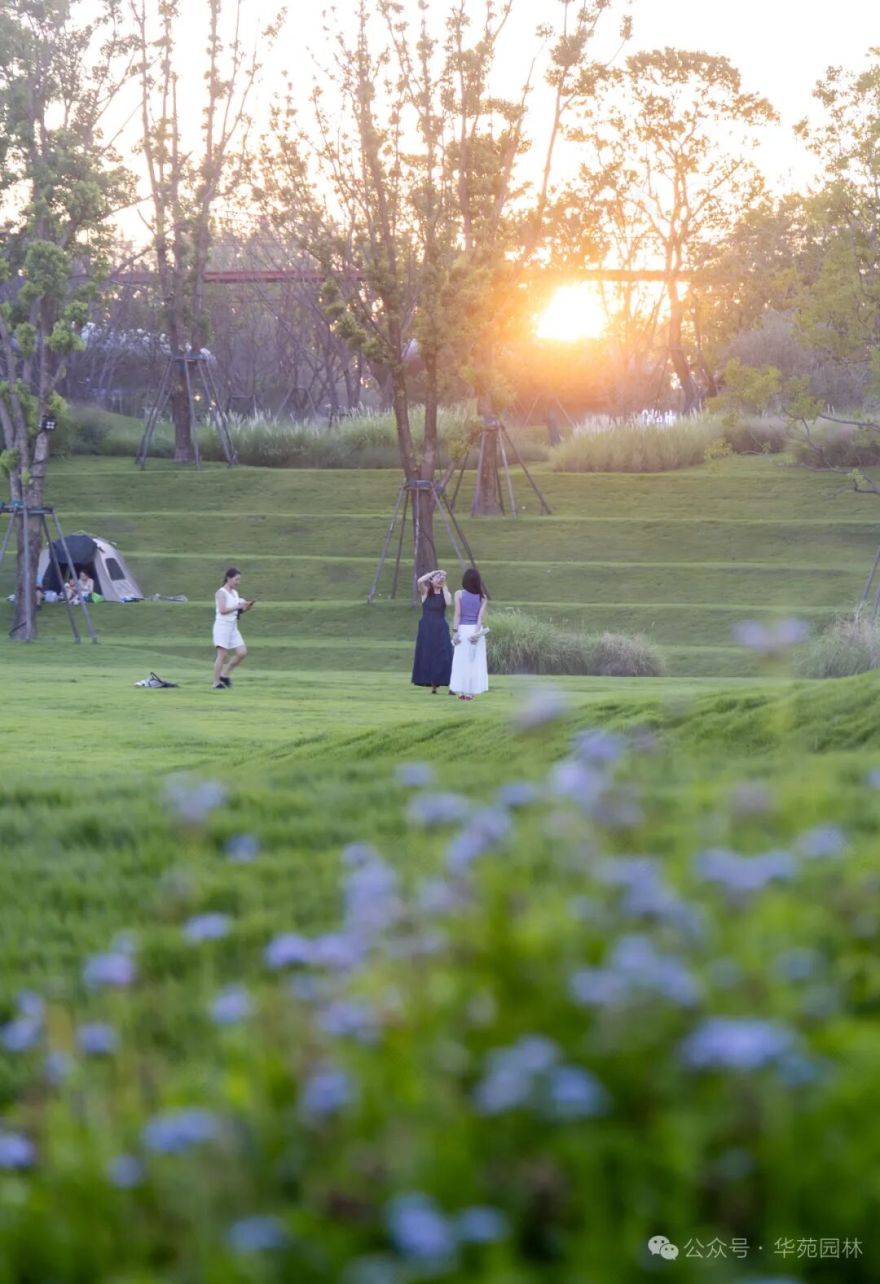 在岛上,过另一种生活丨武汉麓客岛一期一标段&水线公园南区景观工程-45