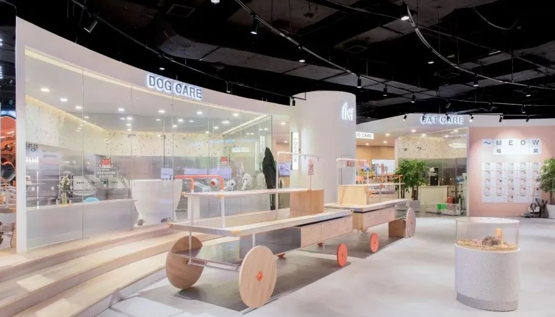 喵星人入侵 · 猫咪共享空间丨中国青岛丨黄士华-37