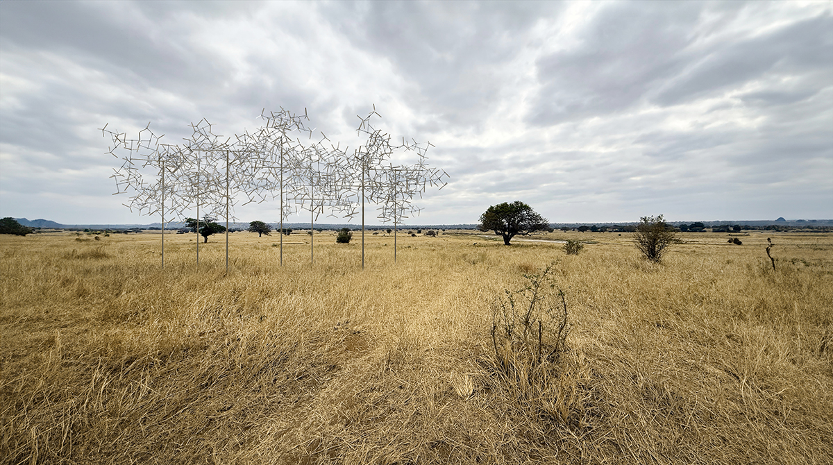 《分形群集》丨坦桑尼亚丨Vincent Leroy-7