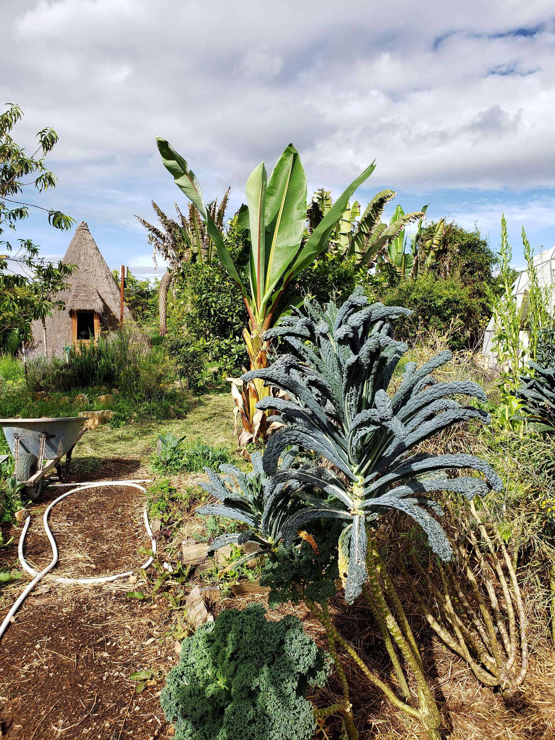 1ER TALLER DE CONSTRUCCIÓN CON TIERRA FO-42
