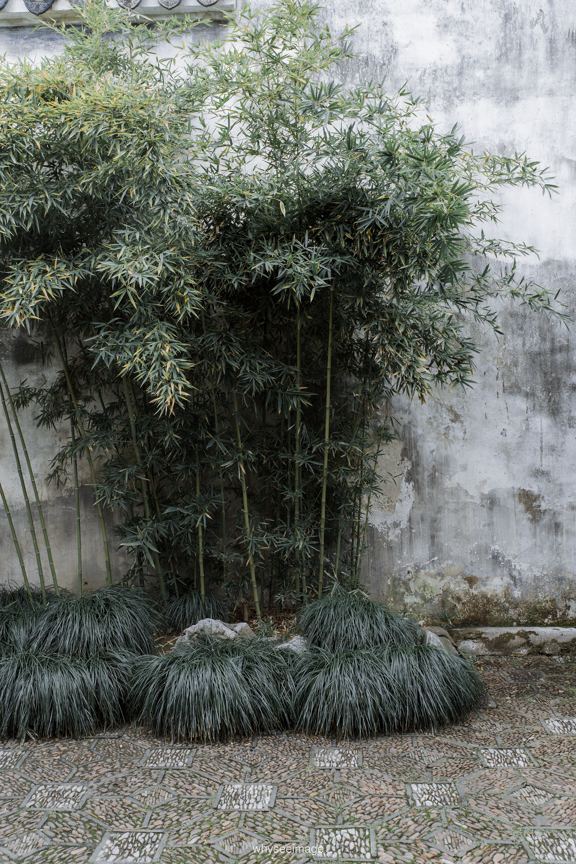 艺圃 Garden of Cultivation丨中国苏州丨whyseeimage-46