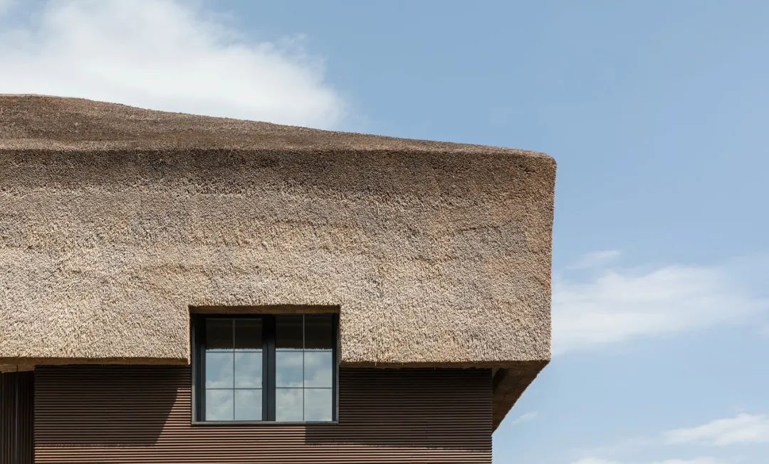 乌克兰 Shkrub 住宅丨Serhii Makhno-8