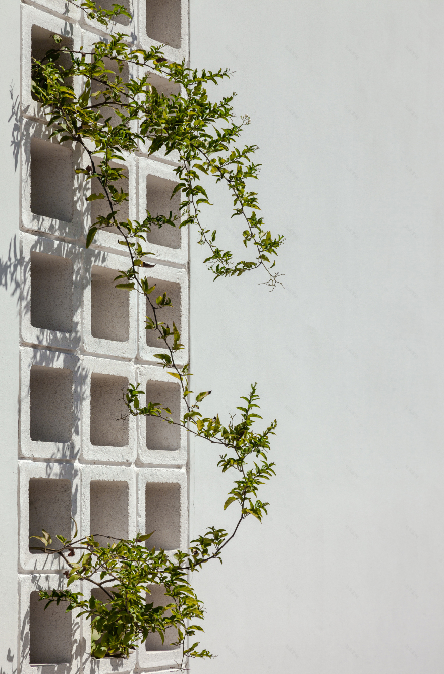 A House with Four Gardens / draftworks architects-32