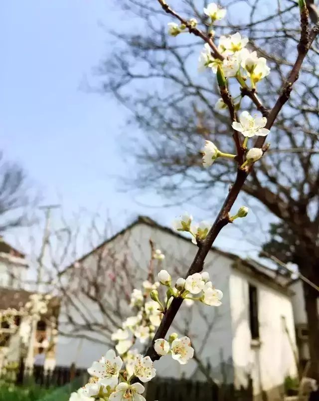 从破旧民居到隐世民宿，真正的做到了创意与唯美并存-28