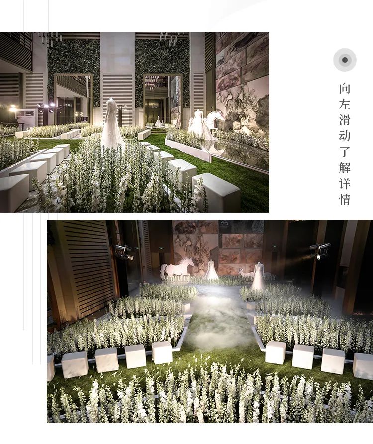 春风十里 爱囿瑰丽-11