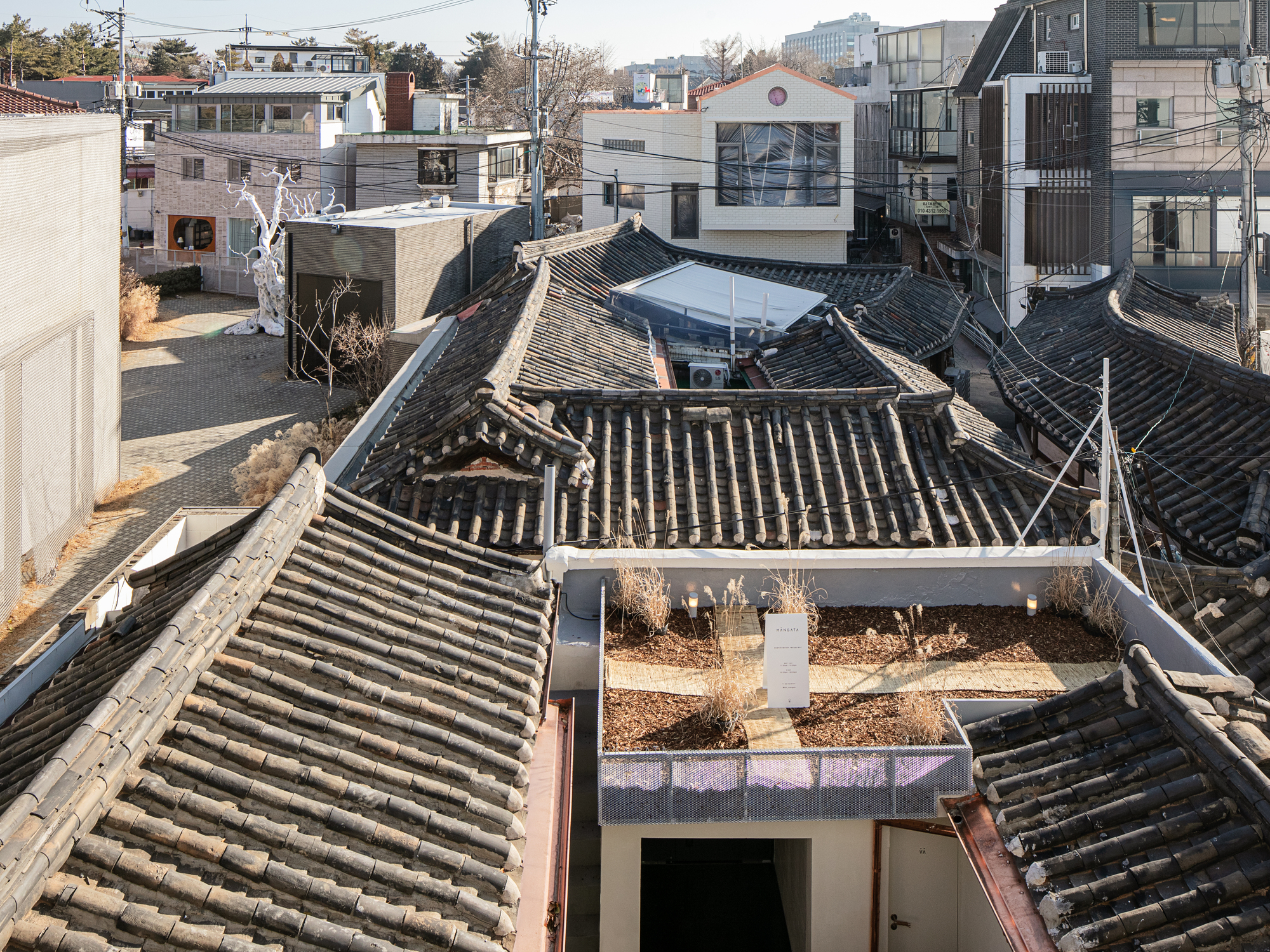 Mangata Restaurant / NOMAL-32