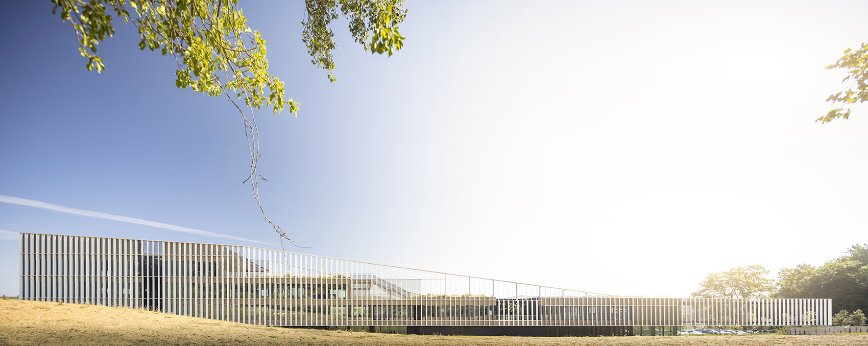 意大利 Furla 总部丨意大利佛罗伦萨丨GEZA Architettura-13