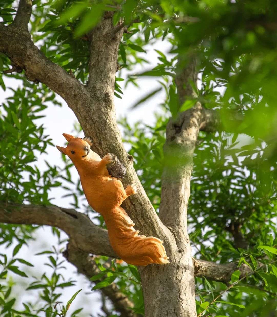 上饶悦麓开元观堂 | 古徽州文化与现代度假的完美融合-137