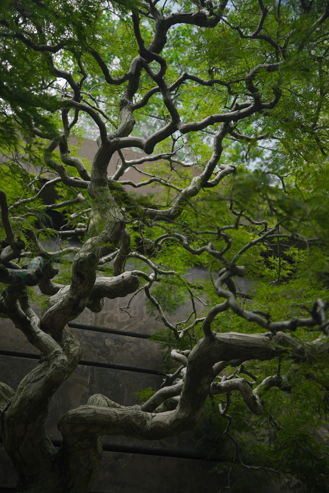 杭州华润元起观潮府丨中国杭州丨JTL加特林,goa大象设计-9