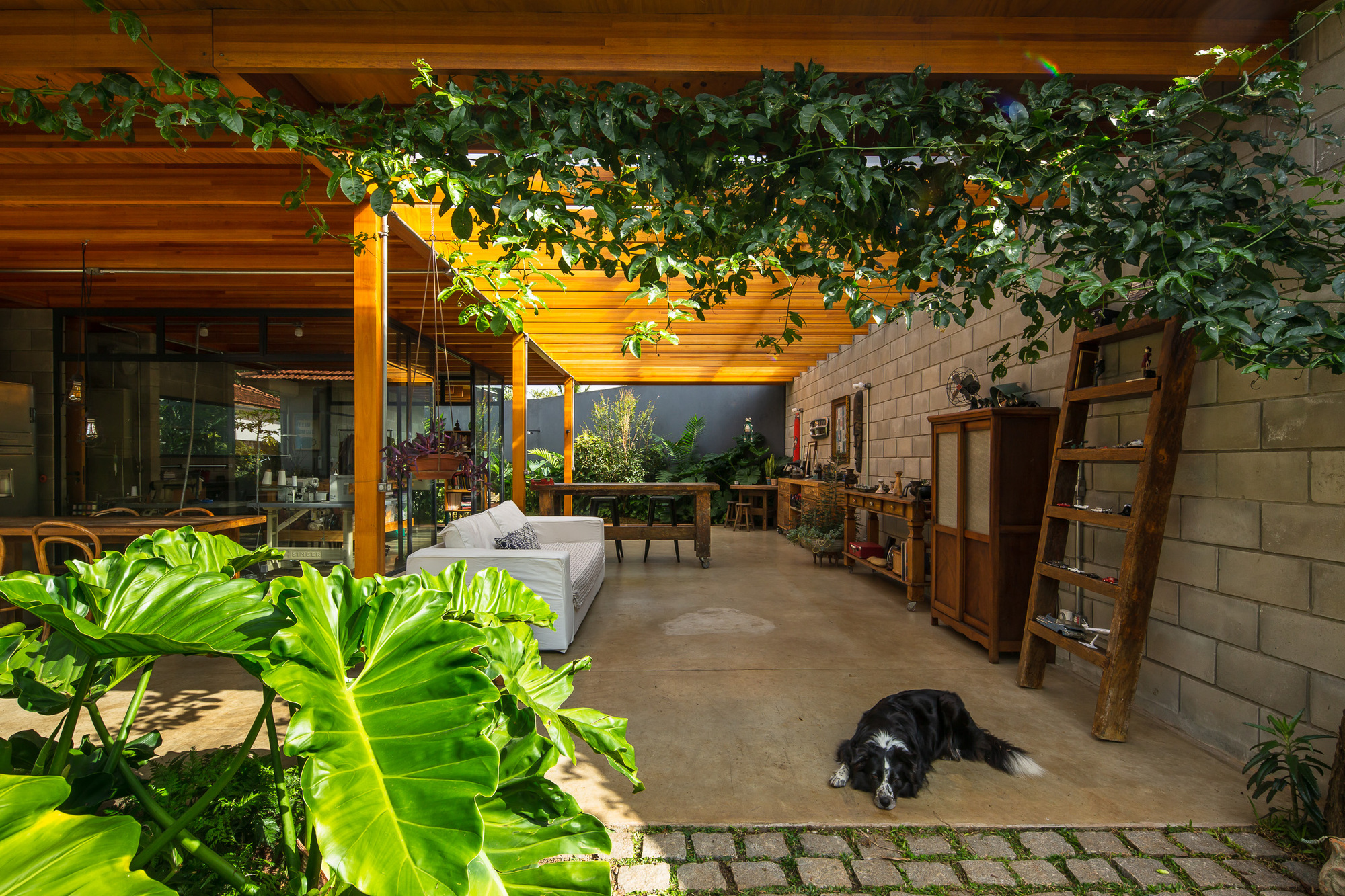 库鲁帕伊蒂之家丨巴西圣保罗丨Terra e Tuma Arquitetos Associados-23