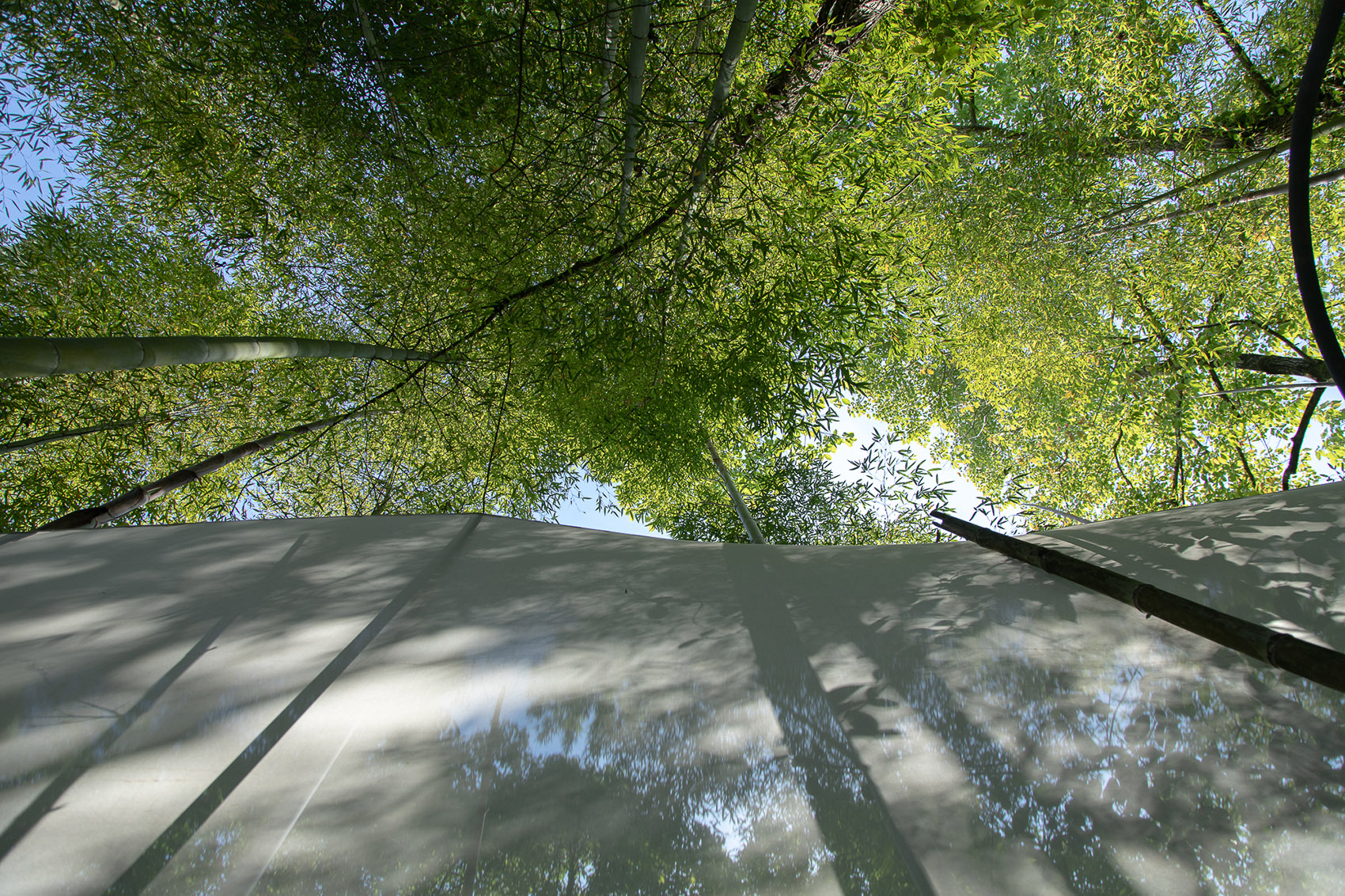 重庆“环舟奇迹”沉浸式户外游戏场景丨中国重庆丨WTD纬图设计-73