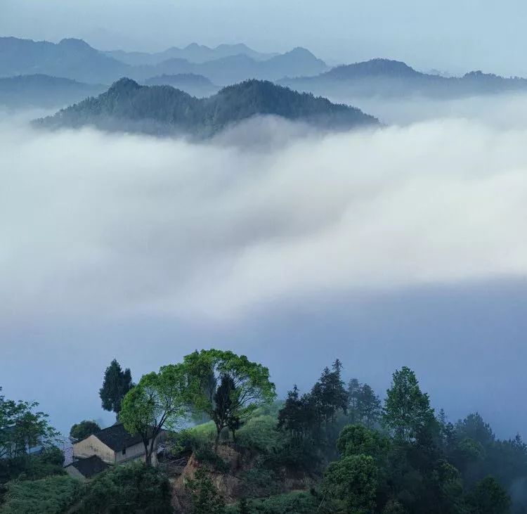 山居艺术 | 云间桃树，泉鸣林深-48