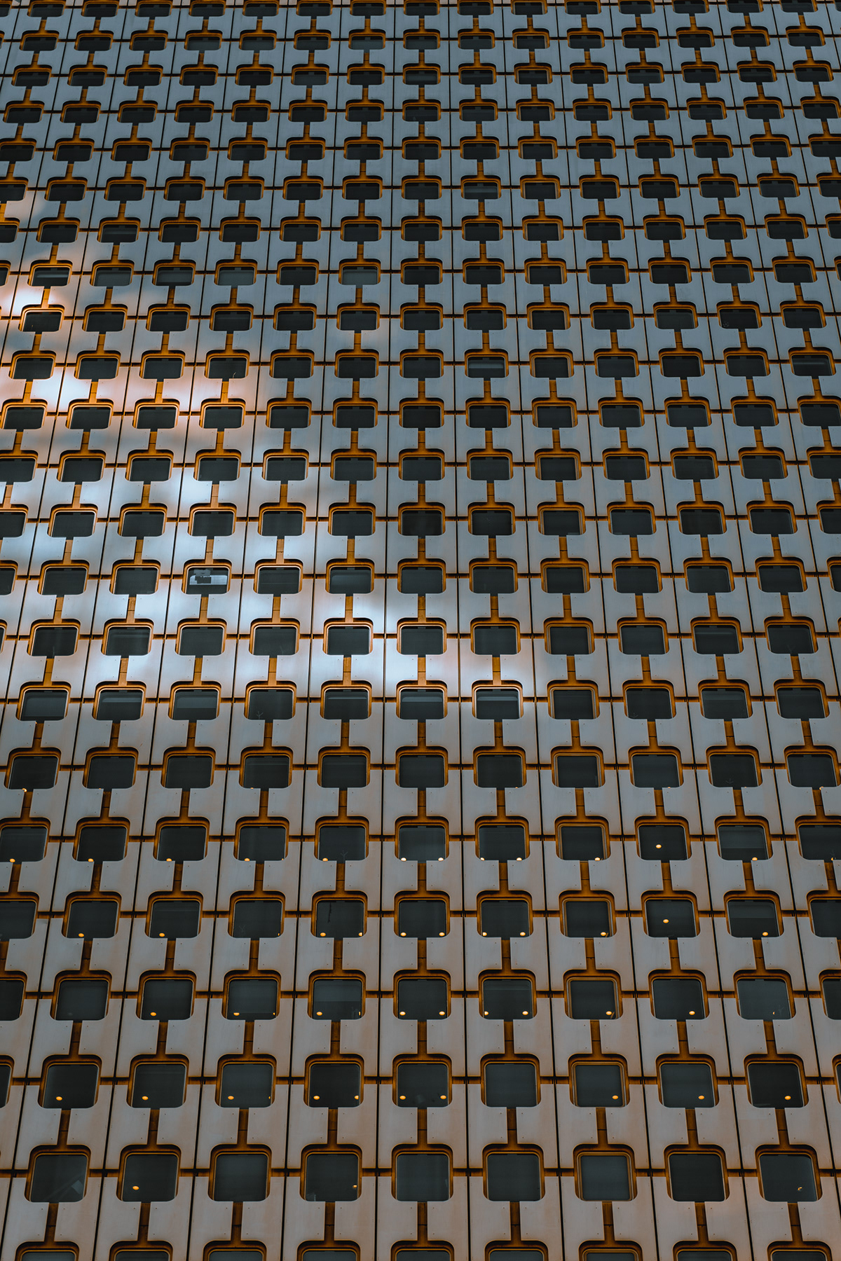 未来巨擘丨Alex Fernández-6