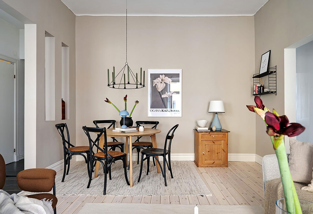 美丽的斯堪的纳维亚公寓-17