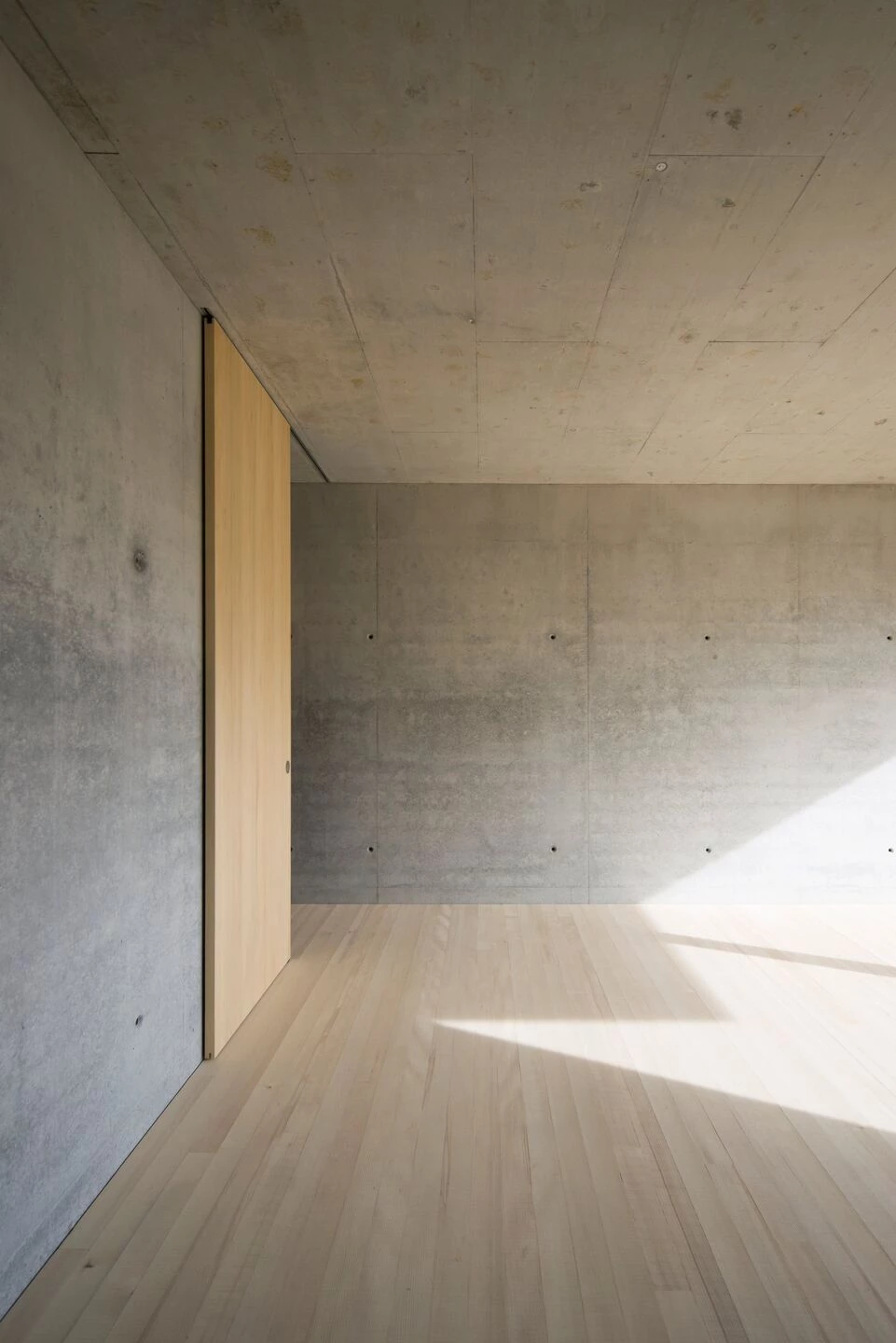 奥地利 Y-House | 混凝土基底与木结构融合的开放式空间设计-14