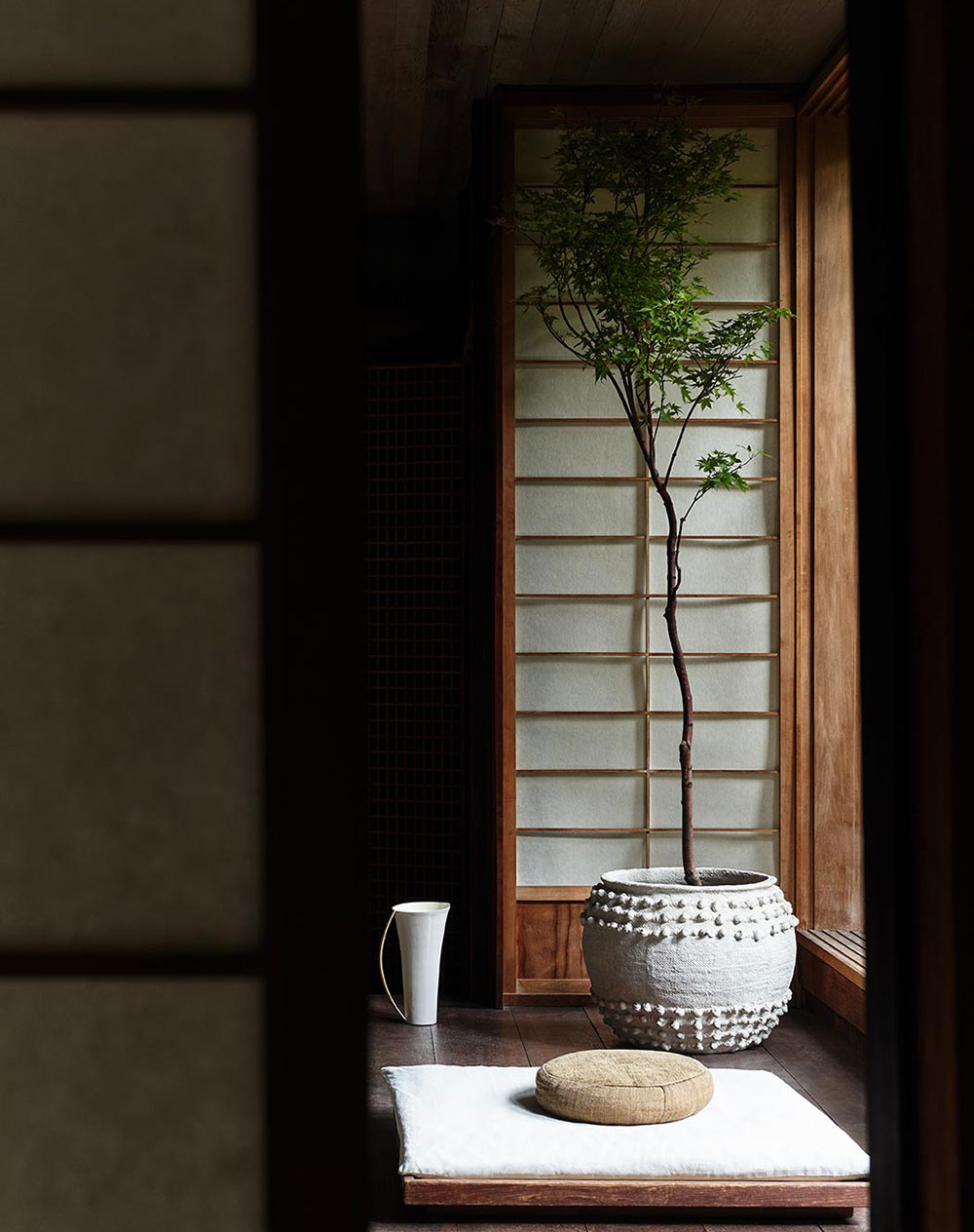 AnthroLiving 春季新系列-21