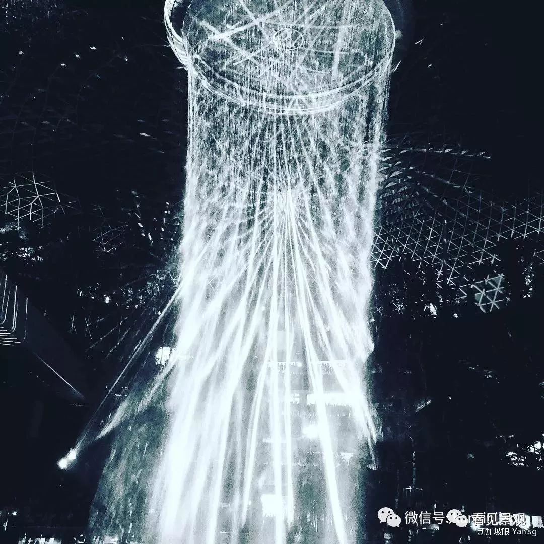 星耀樟宜 | 雨漩涡与绿意交织的机场奇迹-94