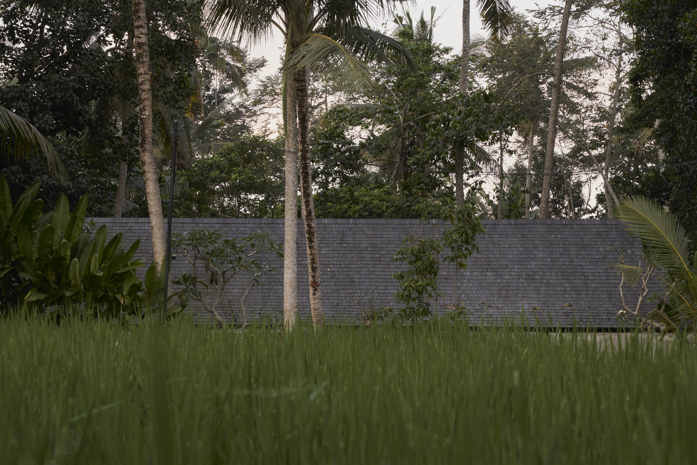 印象巴厘·丛林隐宅丨印度丨Bada Studio-14