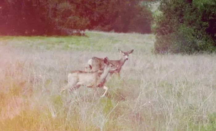 柳州颐和家园 136㎡北欧风设计,专业打造温馨宜居空间-64