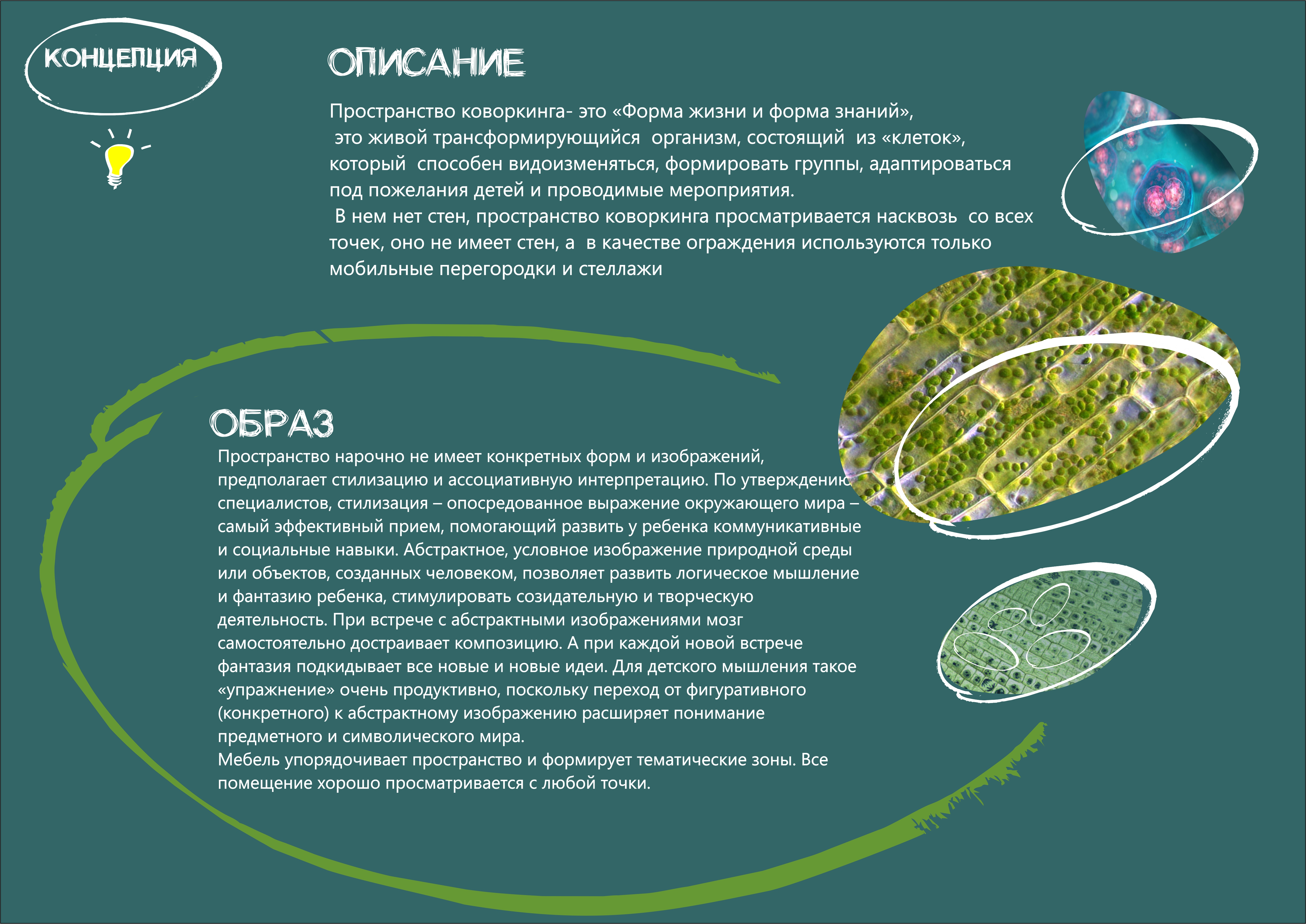 Co-working "The Shape of Life"/Коворкинг "Форма жизни"-4