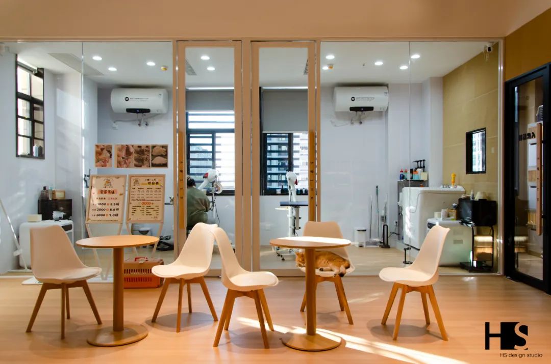 HS 新作 小猫一二只丨中国杭州丨绘狩-27