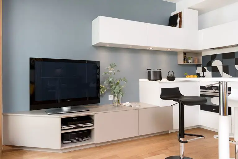 巧妙设计打造 50m2 开放式一居室-5