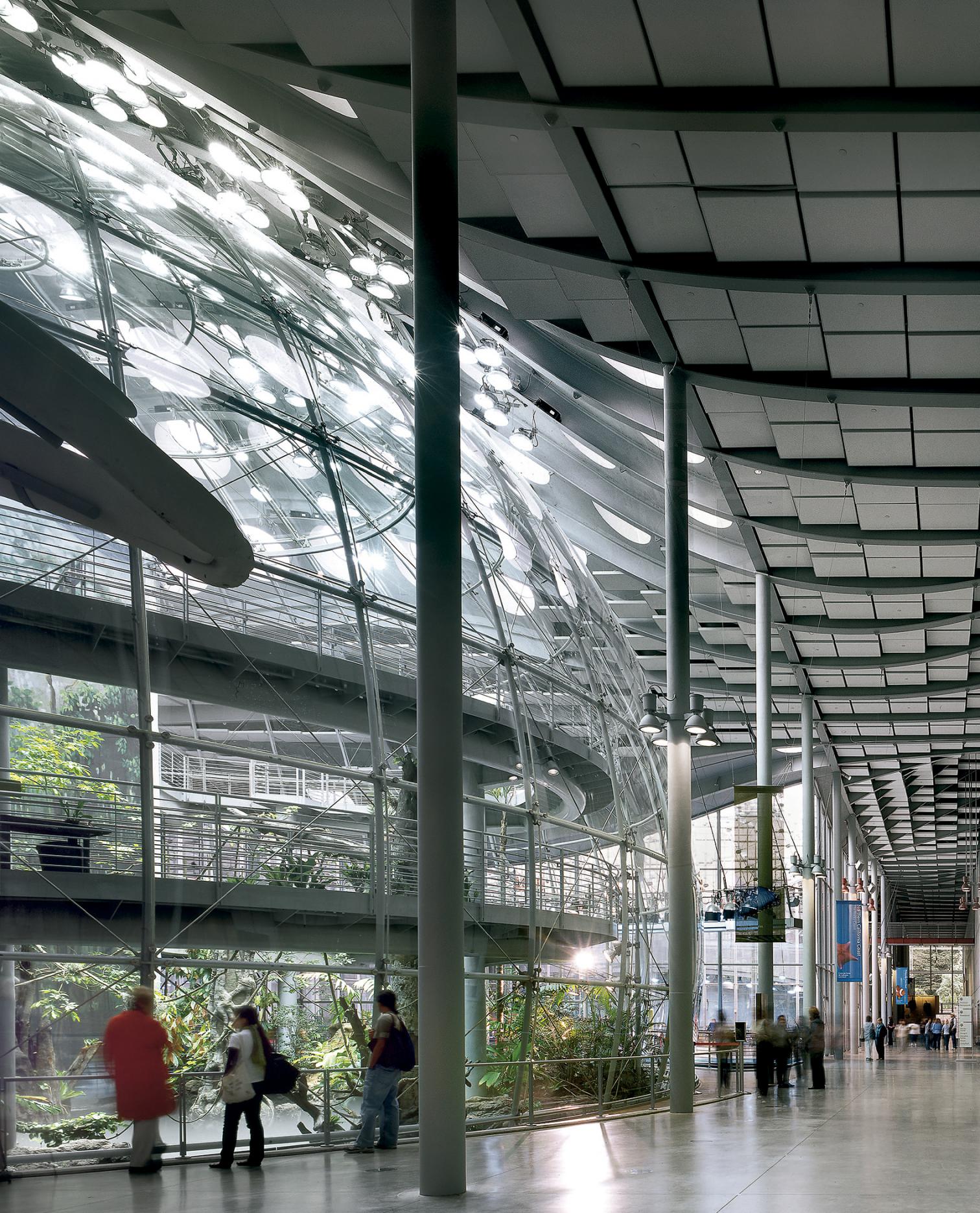 加州科学院新馆 | 绿色环保的设计典范-23