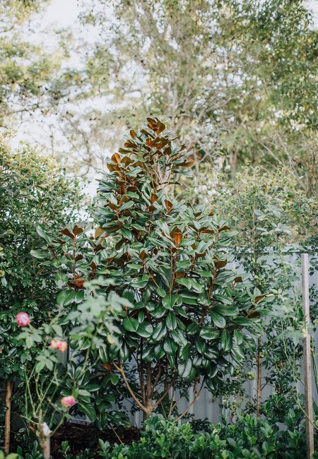 赫斯基森项目 GNK景观设计公司(这里GNK为特定名称,若无更多背景难以更精准翻译,推测一般为专业领域的公司名称,Landscapes可理解为景观设计公司等相关含义) -8
