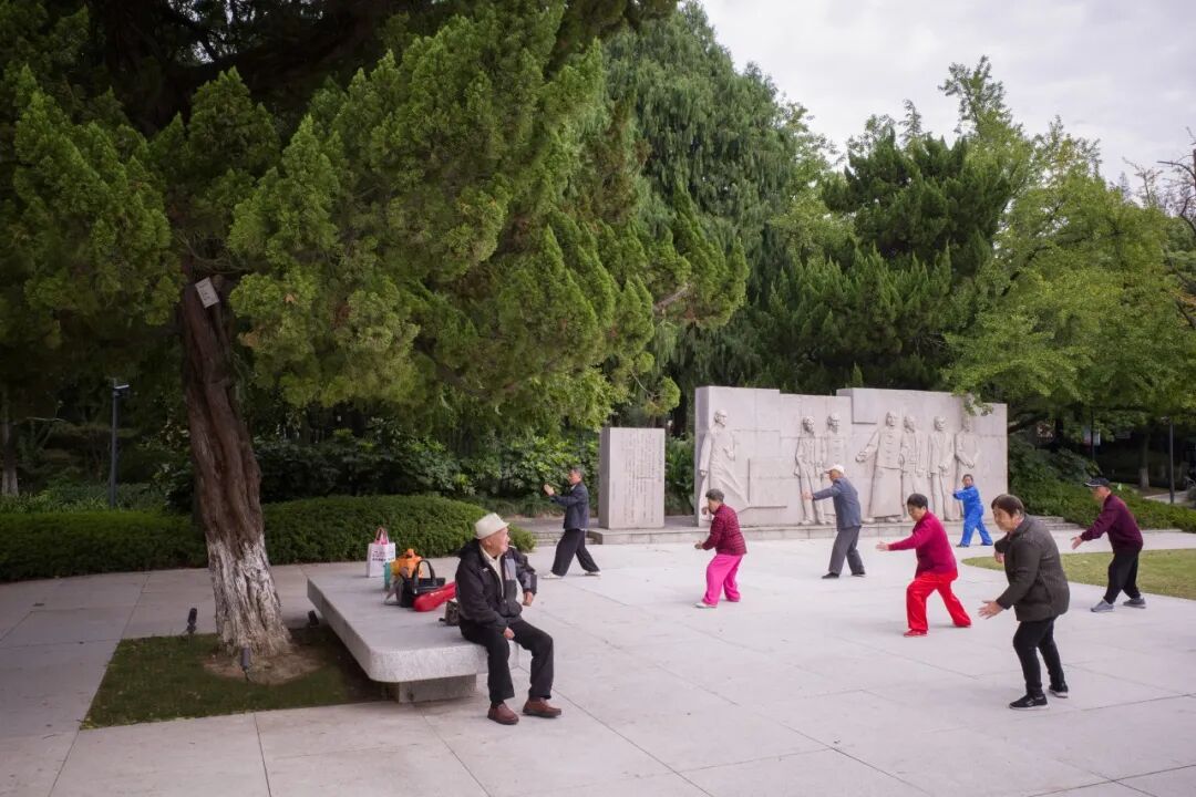 ASLA获奖作品 连接过去和未来的城市绿洲——嘉兴火车站景丨中国嘉兴丨致舍景观-41