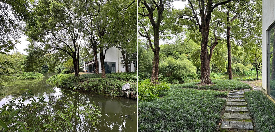 西溪蔡志忠美术馆丨中国杭州丨中国美术学院风景建筑设计研究总院+森上建筑-7