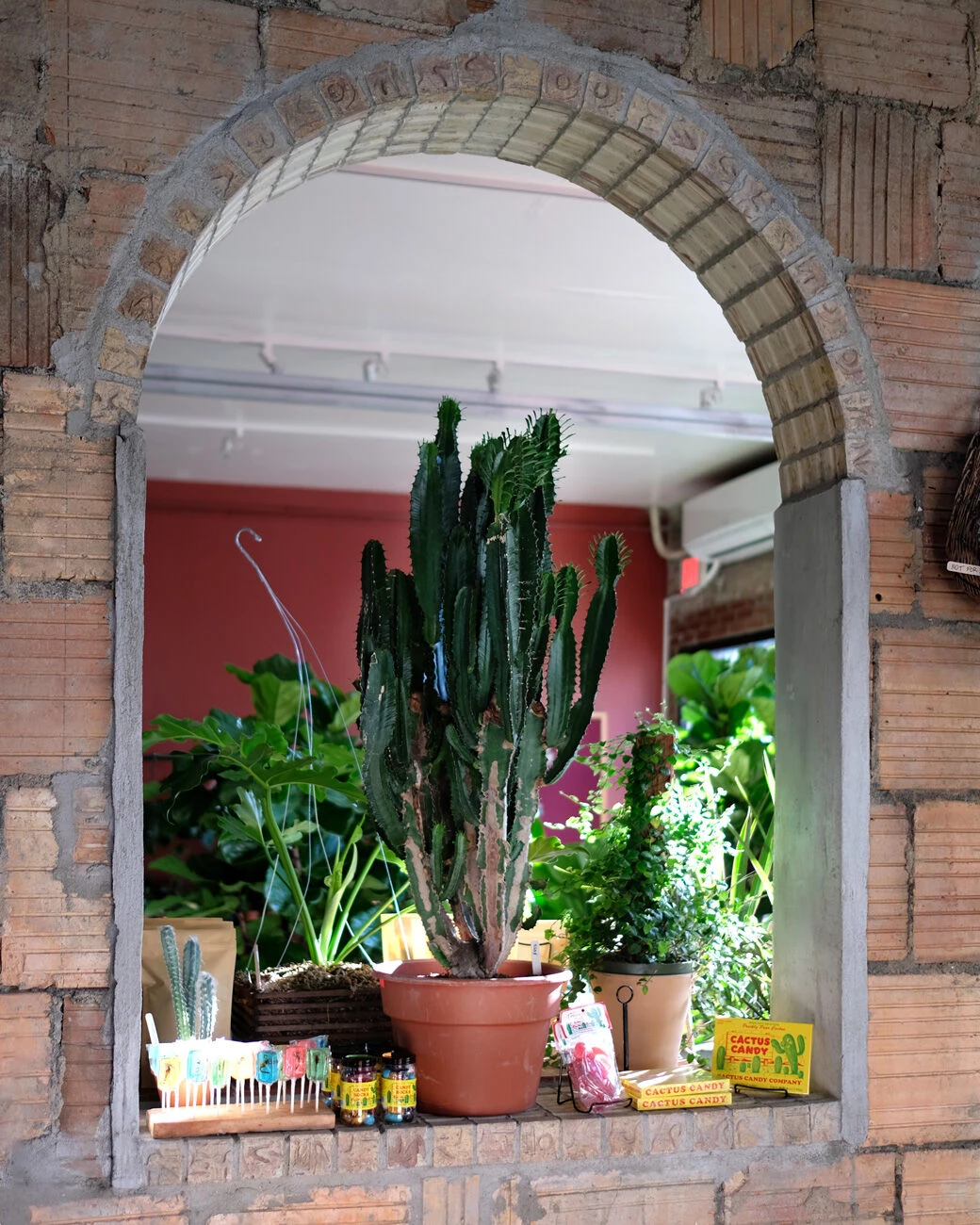 图拉植物与设计丨美国纽约-26