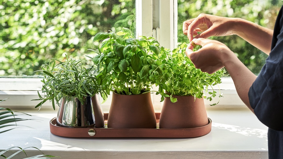 Snøhetta 打造自然韵律的 Terra 园艺工具系列-36