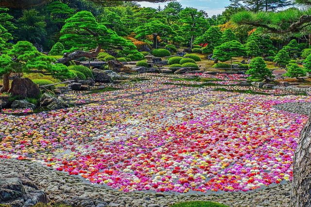 由志園丨中国松江-12